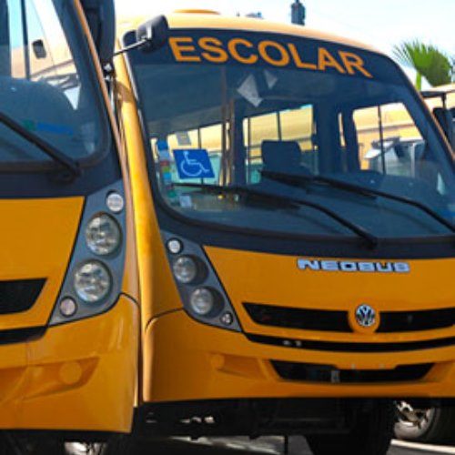 07-Especializado-Transporte-Escolar